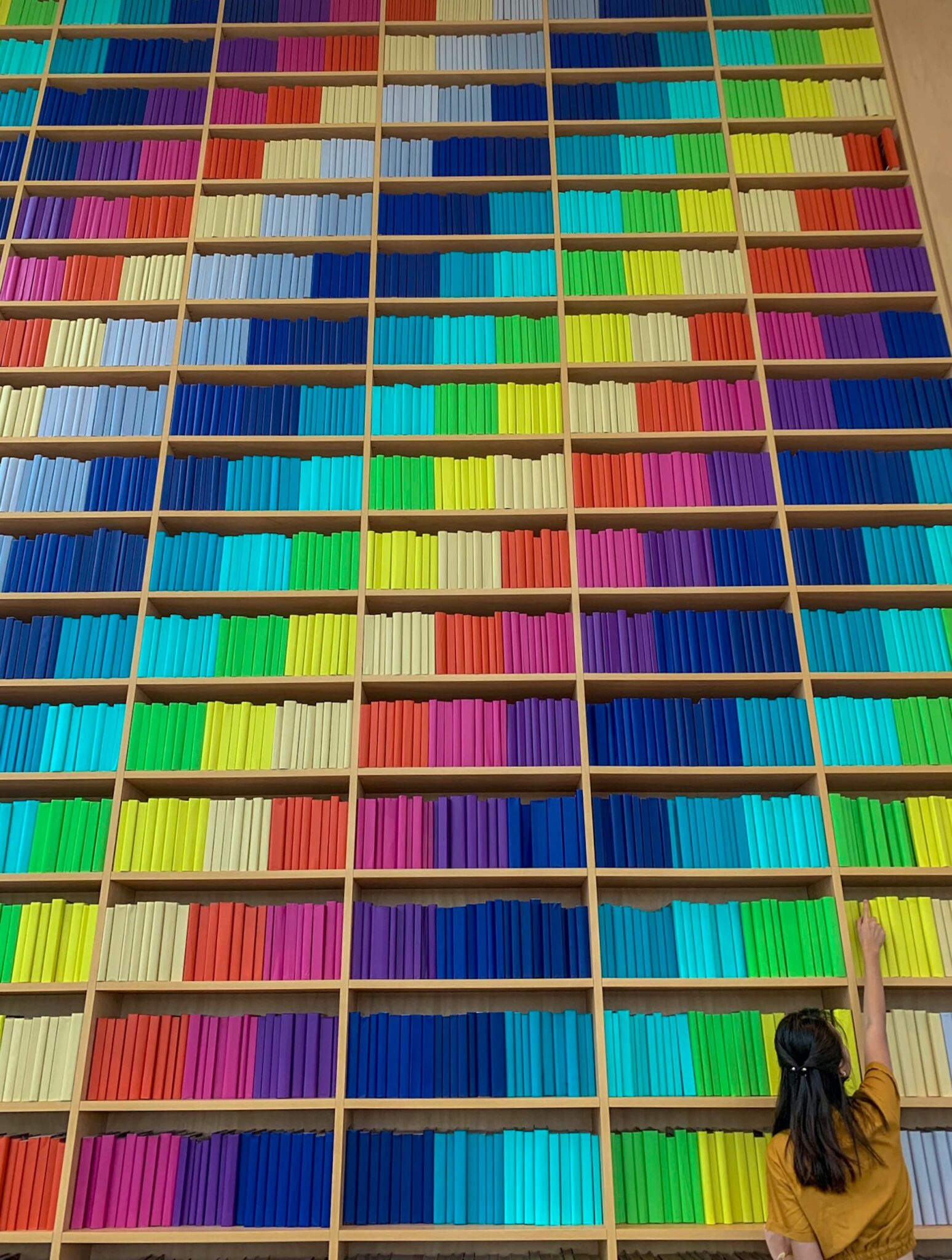 Wall of colorful books